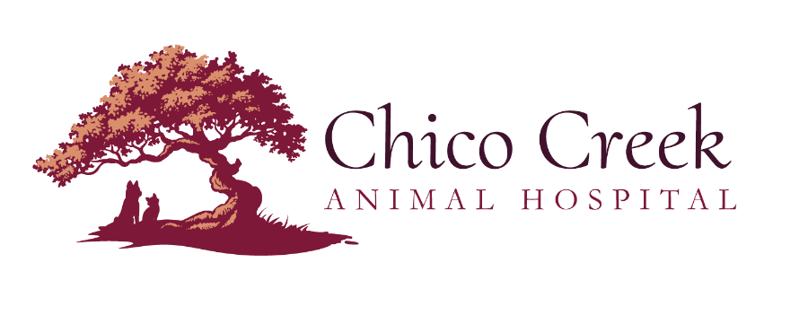 Chico Creek Animal Hospital logo