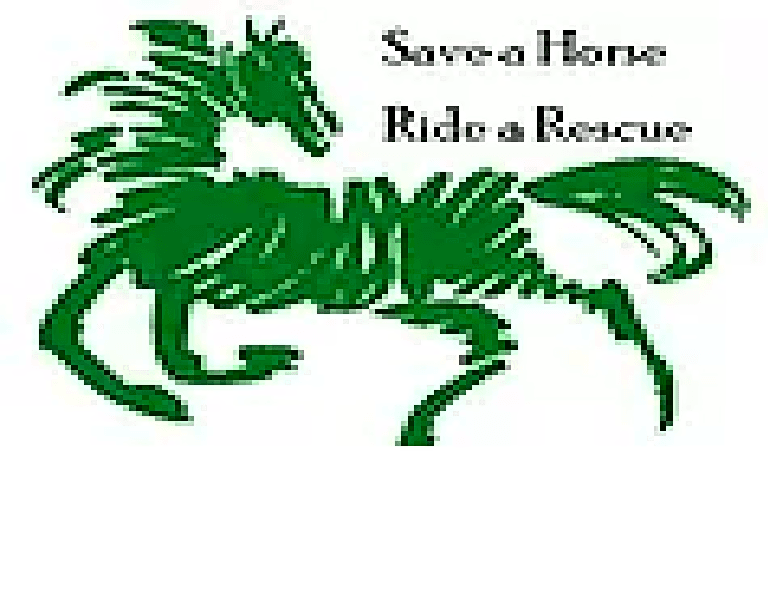 Beech Brook Farm Equine Rescue logo