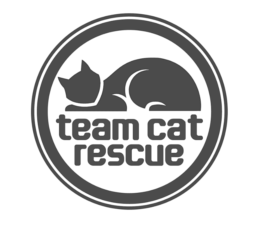 www.teamcatrescue.ca logo