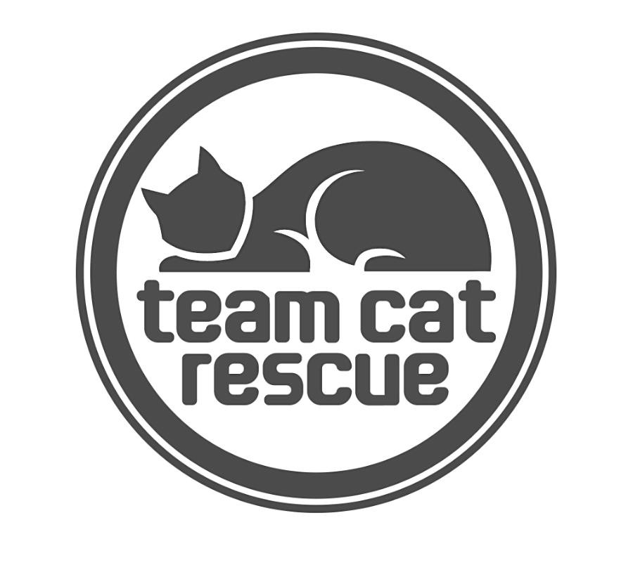 www.teamcatrescue.ca logo