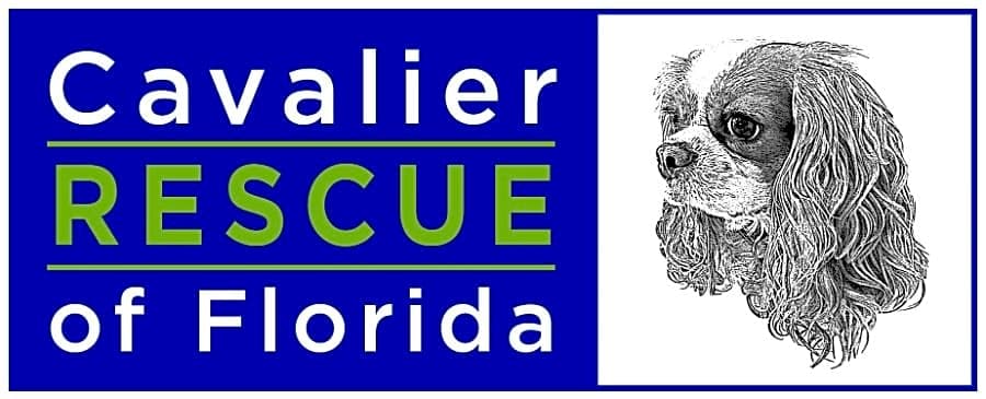 Cavalier Rescue of Florida logo