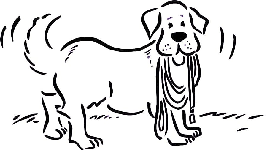 Saving Grace Animals for Adoption logo
