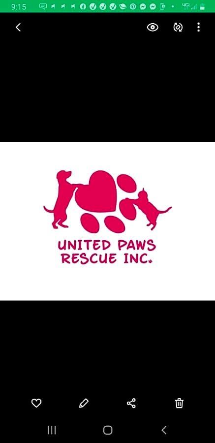 United Paws Rescue logo