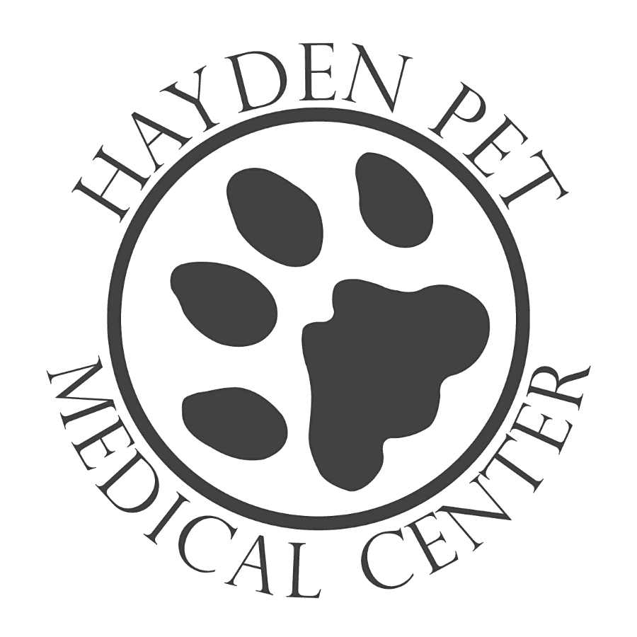 Hayden Pet Medical Center logo