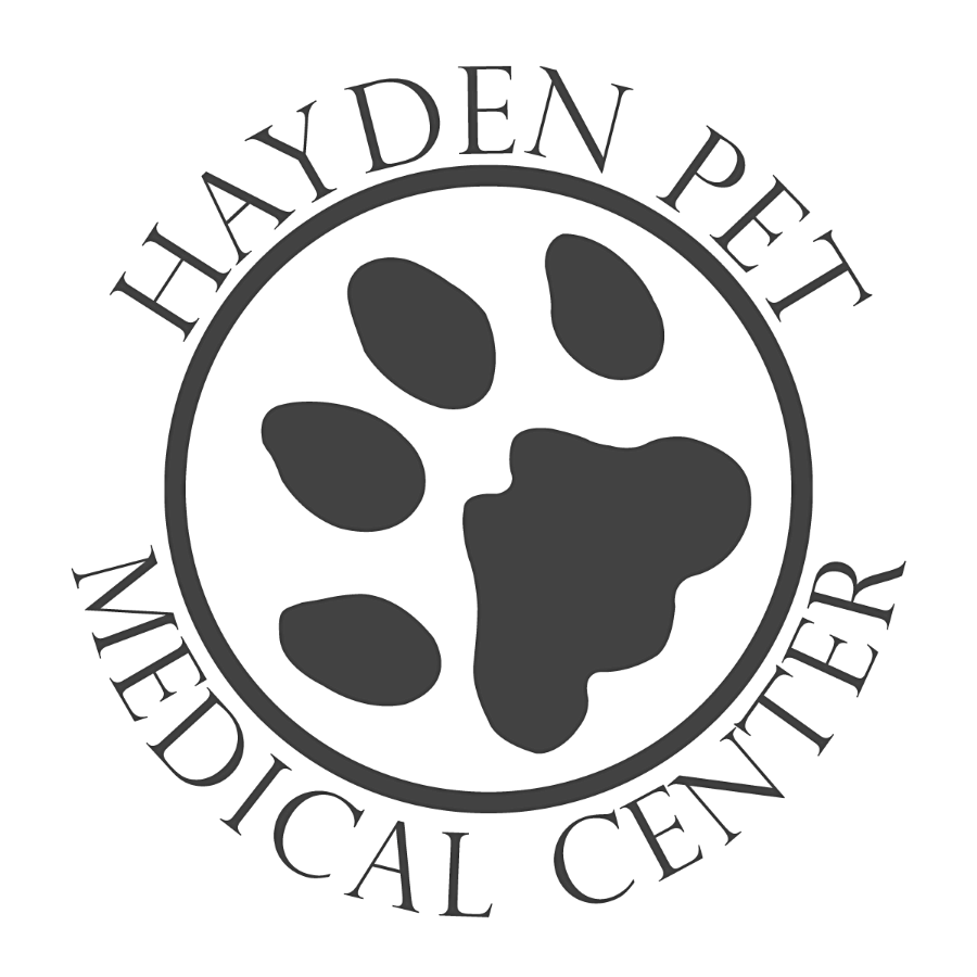 Hayden Pet Medical Center logo