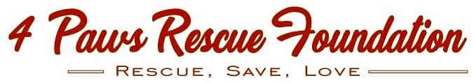 4 Paws Rescue Foundation logo