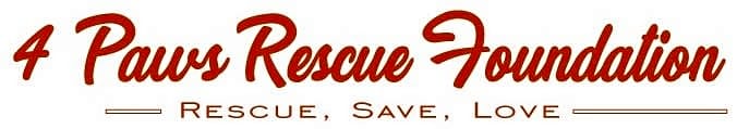 4 Paws Rescue Foundation logo