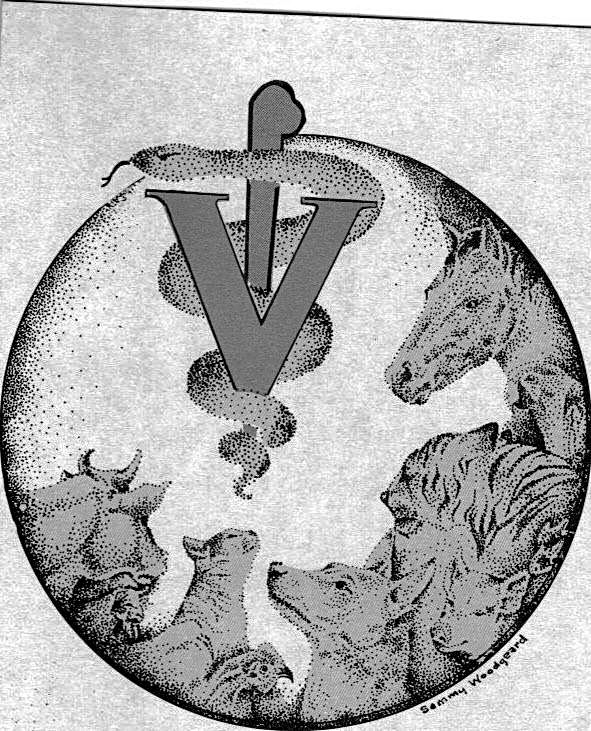Northland Mobile Veterinary Clinic logo