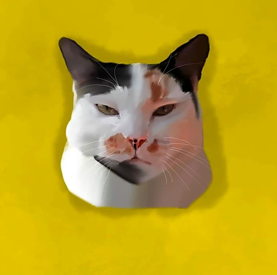 Cloud 9 Cat Rescue logo