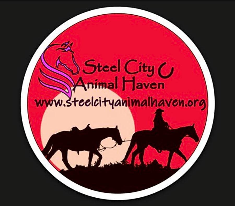 Steel City Animal Haven logo