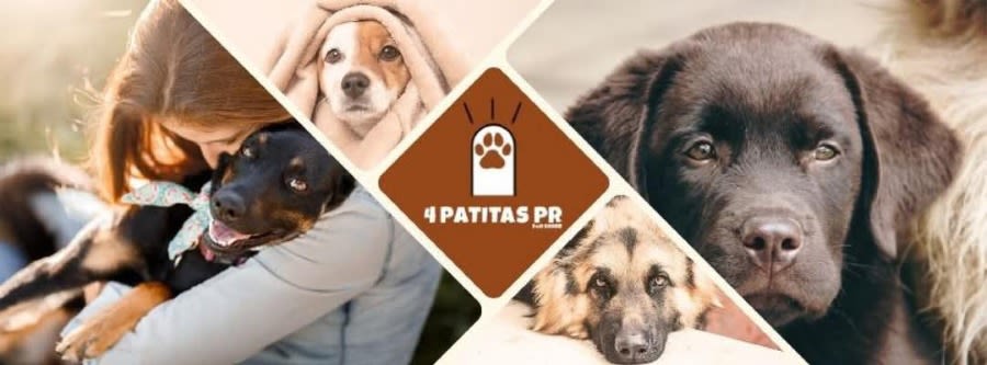 4 Patitas PR logo