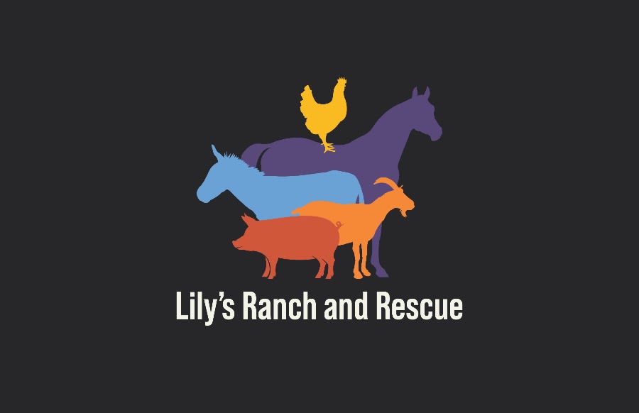 Lily’s Ranch and Rescue logo