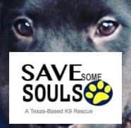 Save Some Souls logo