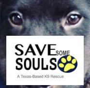Save Some Souls logo