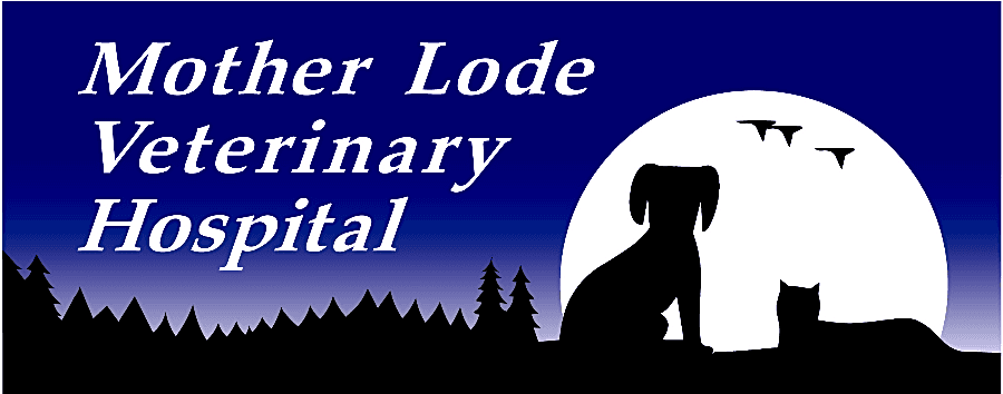 Mother Lode Veterinary Hospital logo
