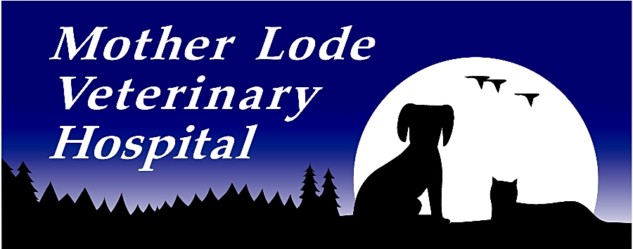 Mother Lode Veterinary Hospital logo