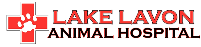 Lake Lavon Animal Hospital logo