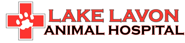 Lake Lavon Animal Hospital logo
