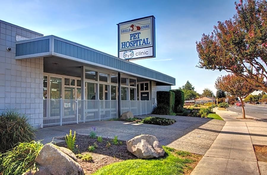 Shield Stone Pet Hospital logo