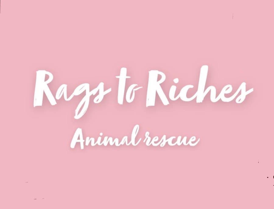 Rags to Riches Animal Rescue Inc logo