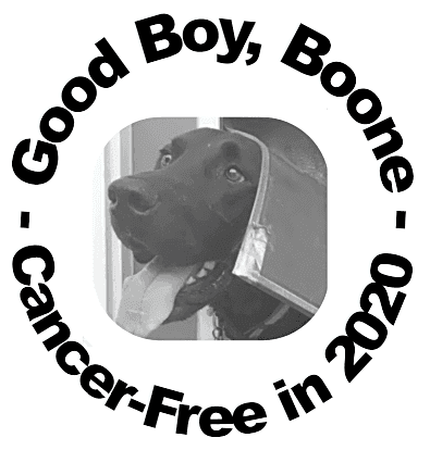 NCSU Veterinary Hospital logo