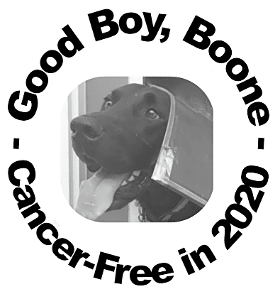 NCSU Veterinary Hospital logo