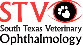 South Texas Veterinary Ophthalmology logo
