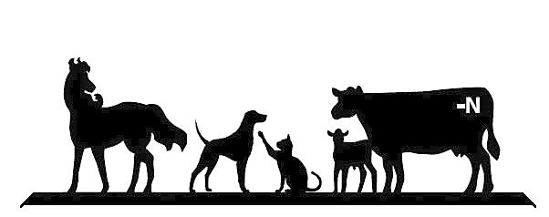 Bar N Veterinary Clinic logo