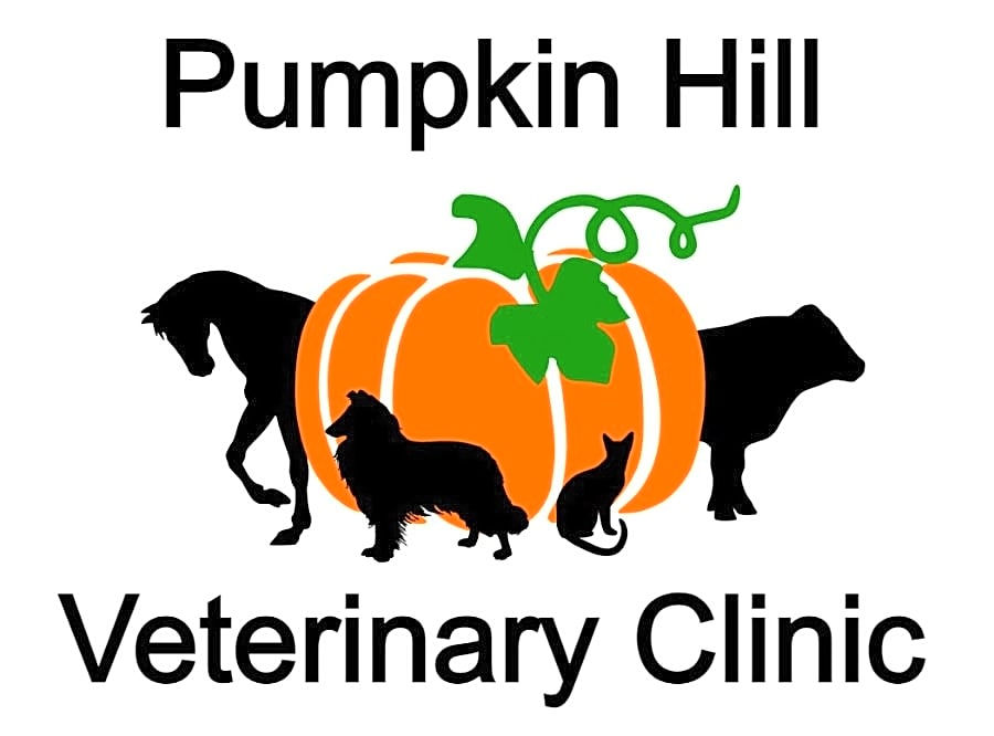 Pumpkin Hill Veterinary Clinic logo