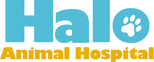 Halo Animal Hospital logo