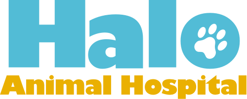 Halo Animal Hospital logo