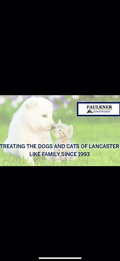 Faulkner Animal Hospital logo