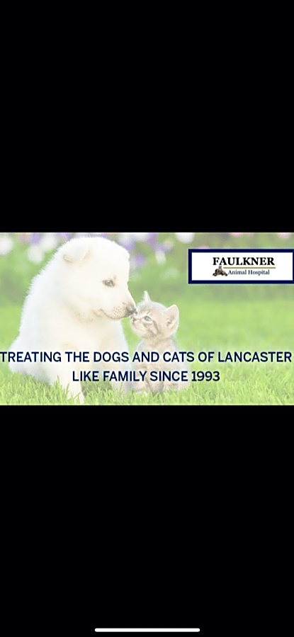 Faulkner Animal Hospital logo