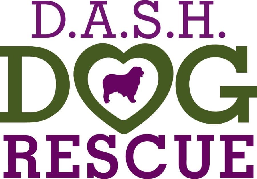 DASH Dog Rescue / Dallas Aussie Shep & Herding logo