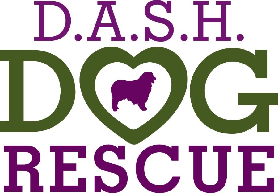 DASH Dog Rescue / Dallas Aussie Shep & Herding logo