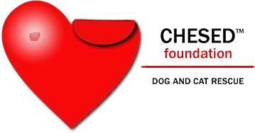 Chesed Foundation Rescue logo