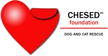 Chesed Foundation Rescue logo