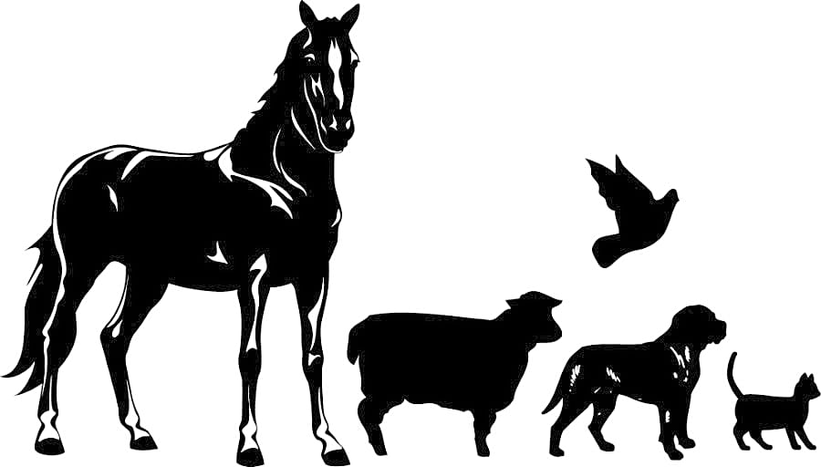 Northside Veterinary Clinic logo