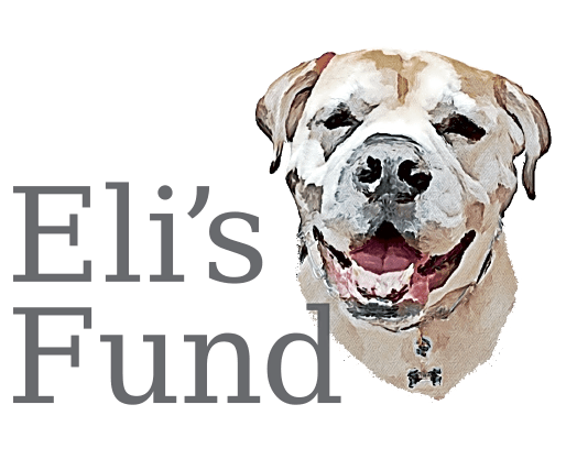 Eli's Fund logo