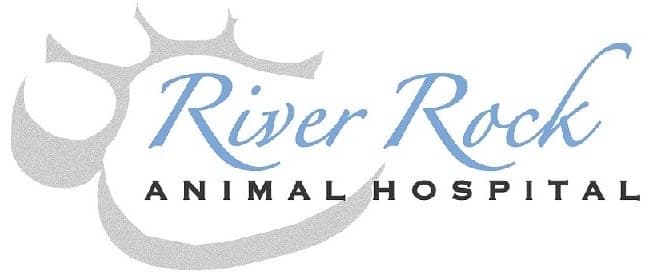 River Rock Animal Hospital logo