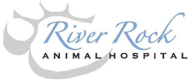 River Rock Animal Hospital logo