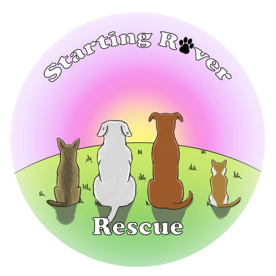 Starting Rover Rescue logo
