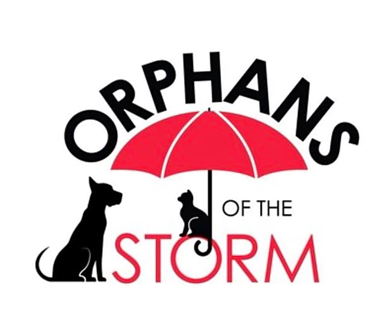 Orphans of the storm logo
