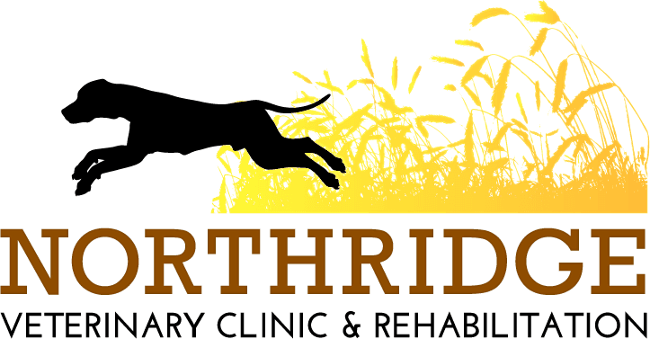 Northridge Veterinary Clinic & Rehabilitation logo