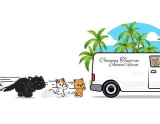 Changing Tomorrow Animal Rescue logo