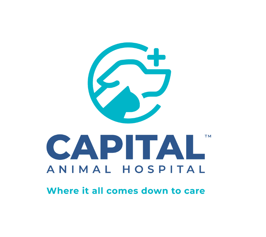 Capital Animal Hospital logo