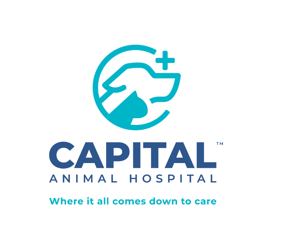 Capital Animal Hospital logo
