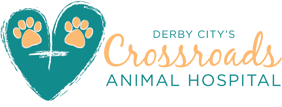 Derby City’s Crossroads Animal Hospital logo