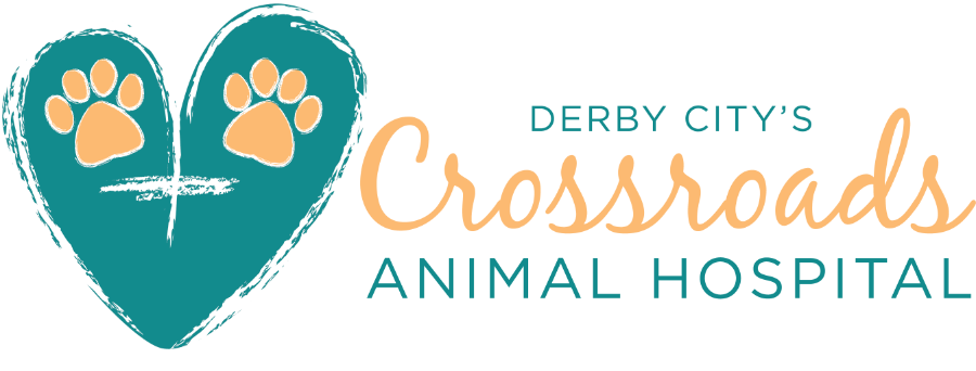Derby City’s Crossroads Animal Hospital logo