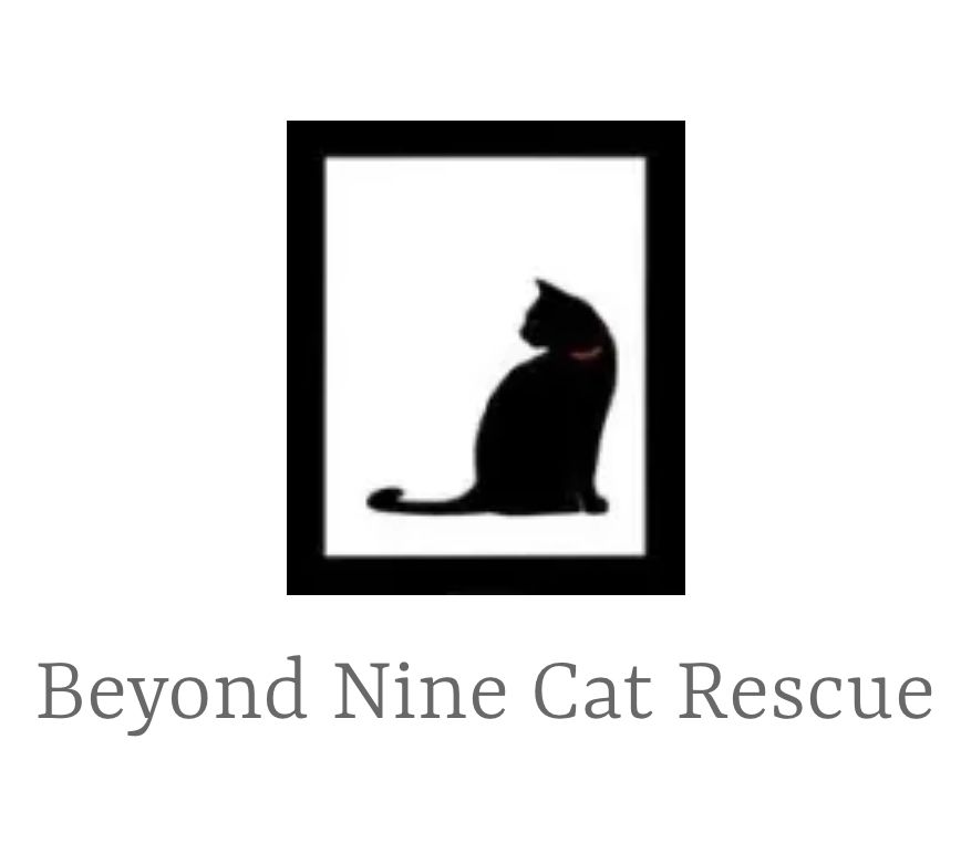 Beyond Nine Cat Rescue logo